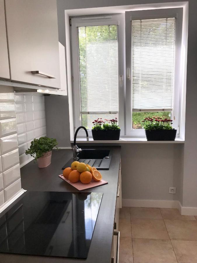 Klimatyczny Apartament Pod Ratuszem -Ul. Slaska 2 Częstochowa Екстериор снимка